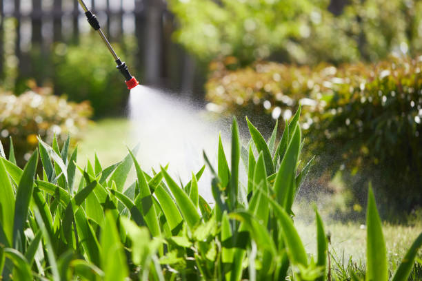 24/7 Emergency Mosquito Control experts in Covington, IN